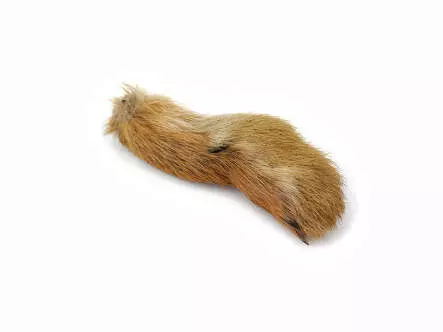 HARE PAW front hotfly