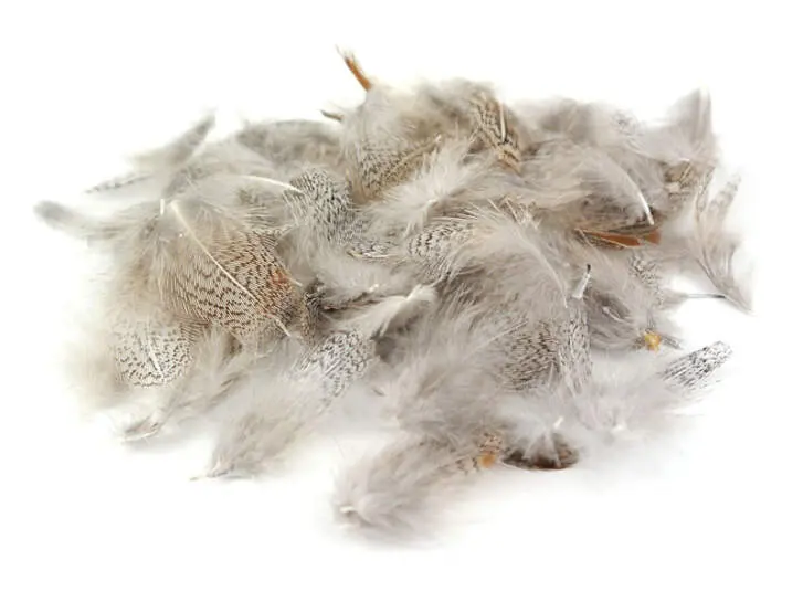 PARTRIDGE ENGLISH FEATHERS hotfly - 3 g - selected natural grey