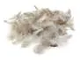 PARTRIDGE ENGLISH FEATHERS hotfly - 3 g - selected natural grey
