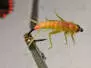 UV RESIN FAST laser - 5 g