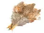 PARTRIDGE ENGLISH GREY (perdix perdix) gold selection hotfly - made in Italy