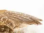 PARTRIDGE ENGLISH GREY (perdix perdix) gold selection hotfly - made in Italy