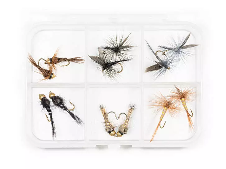 Flies selection TROUT ESSENTIAL - 12 flies with box