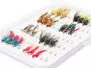 Selection WET FLIES EVERY DAY - 24 flies with box