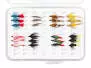 Selection WET FLIES EVERY DAY - 24 flies with box