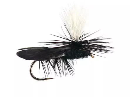 High Vis Black Caddis