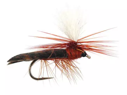 High Vis Brown Caddis