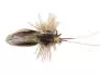 Tims Natural Caddis Fly