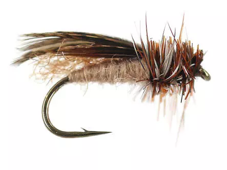 Spent Partridge Caddis