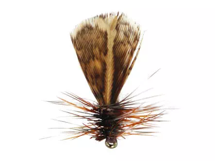 Spent Partridge Caddis