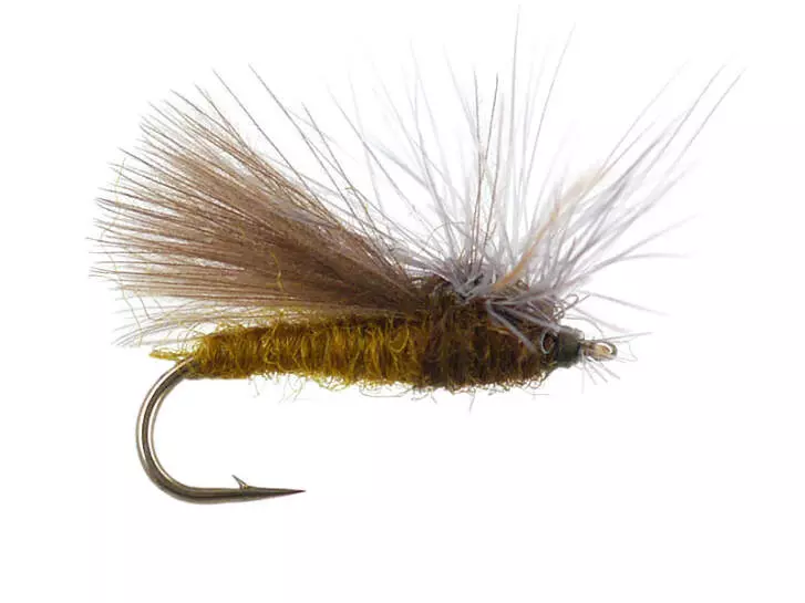 CDC Hackle Stacker Caddis- Olive