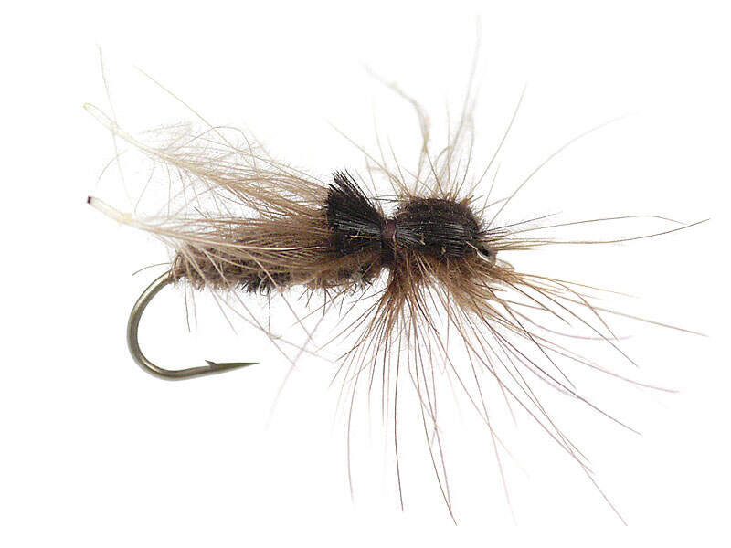 Brown CDC Hopper