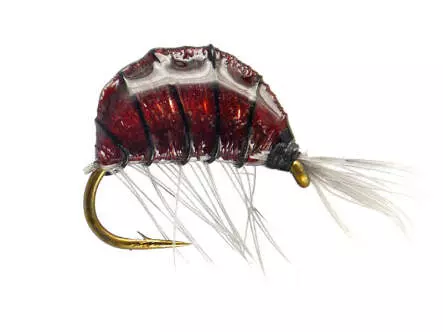 Heavy Epoxy Shrimp Dark12