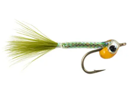 Burmans Cradle Robber - Rainbow