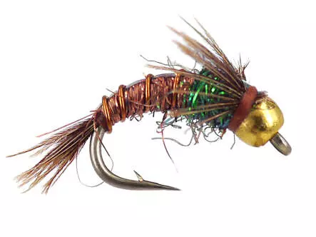 Kyles BH C-N Angel Hair Pheasant Tail