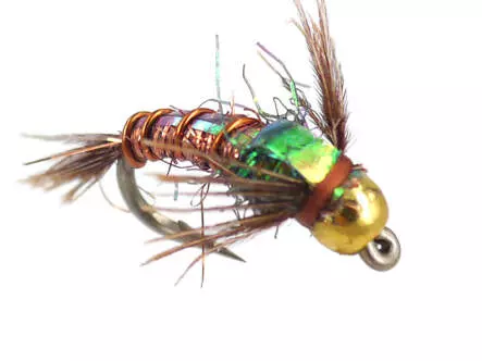 Kyles BH C-N Angel Hair Pheasant Tail