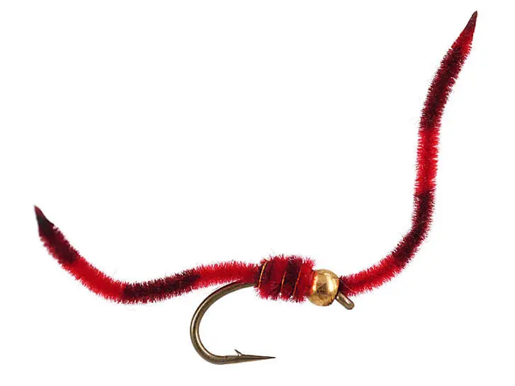 Tiger Worm - Red