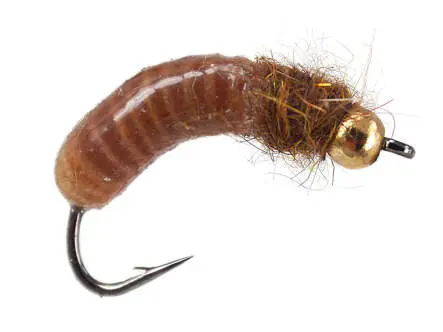 Silvermans Crane Fly Larva - Tan