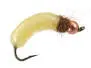 Silvermans Crane Fly Larva - Cream