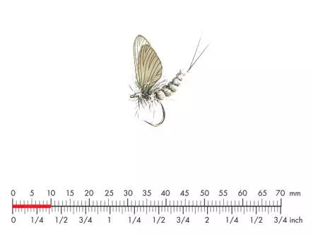 Mayfly Dun M4 Olive Grey 10mm