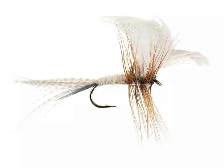 Cream Mayfly Dun
