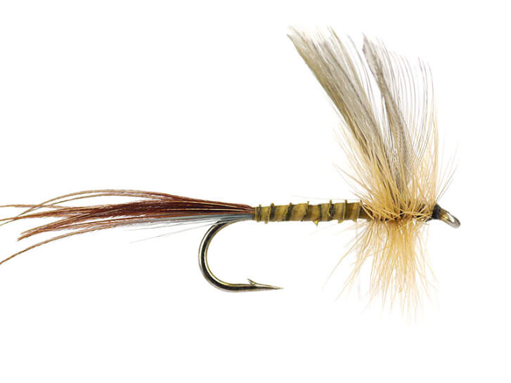 Yellow Olive Quill Mayfly