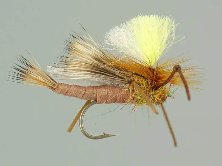 Trinas Carnage Attractor - Tan