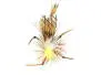 Trinas Carnage Attractor - Tan
