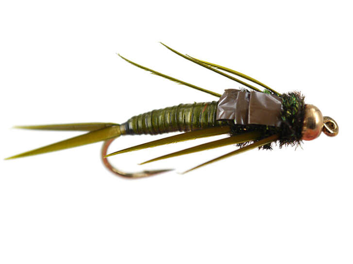 Marks Simple Olive Stonefly