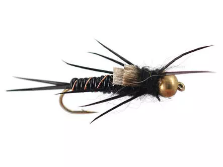 BH Black Stonefly
