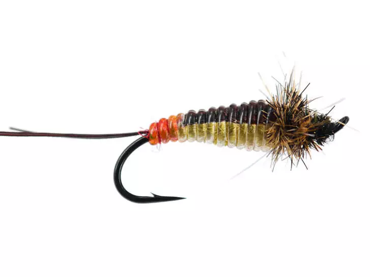 Giant Yellow Bodyglass Stonefly