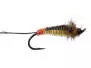 Giant Yellow Bodyglass Stonefly