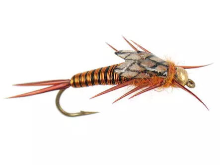 Copperback Stone - Copper