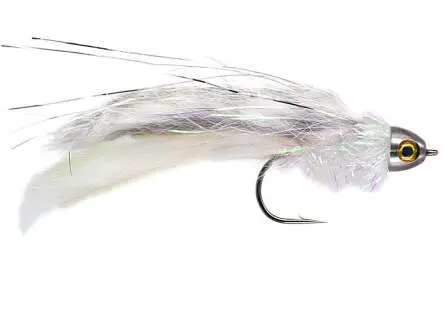 Clarkes Rat - Chinchilla