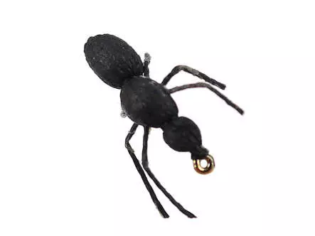 Black Ant