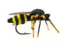 Wasp