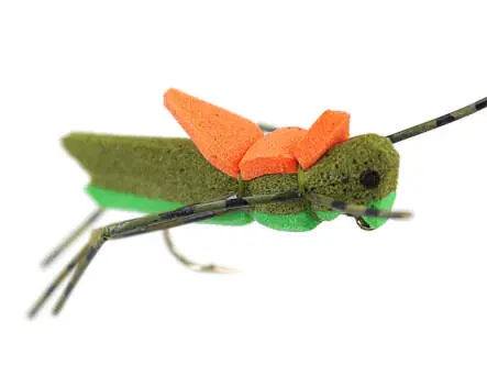 Morrish Hopper Olive