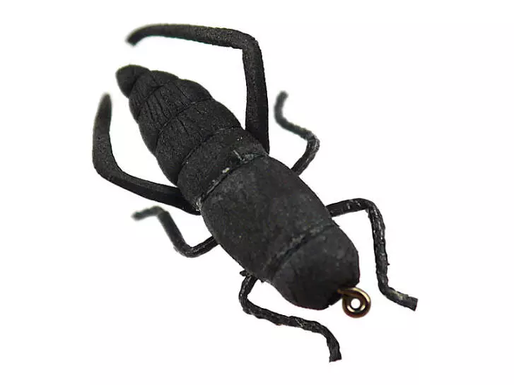 Cricket