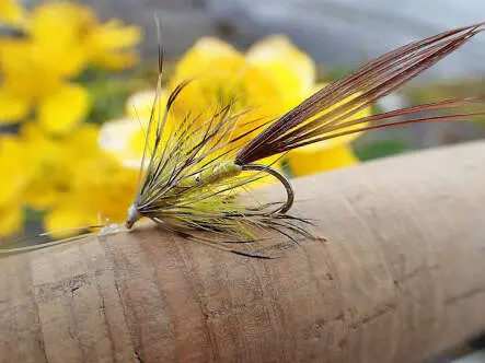 French Partridge Mayfly
