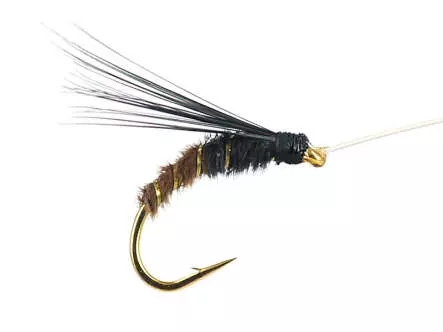 Gold Selection BI Olive Brown
