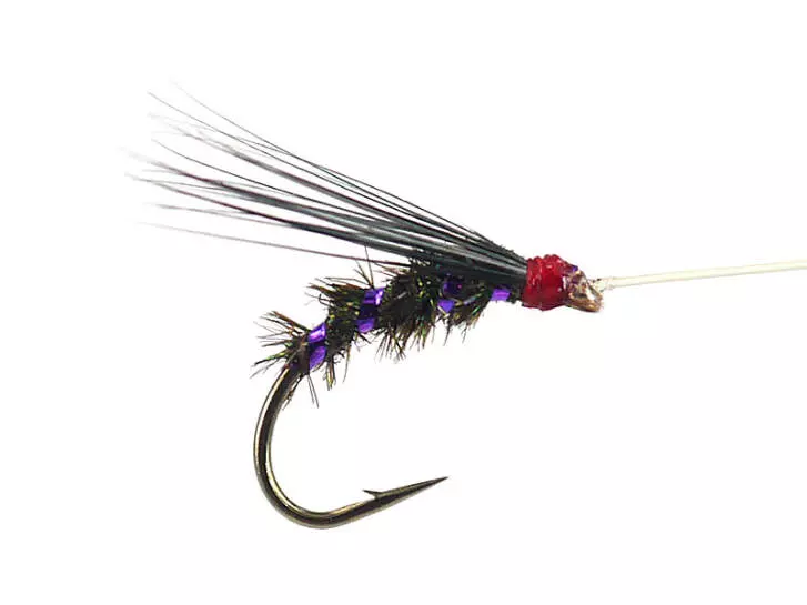 Riofranz Premium Violet