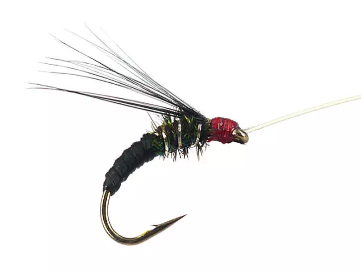 Franz Bipeack Black