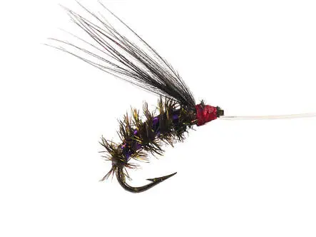 Wooly Peacock Violet
