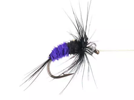 Rienz Premium BI Violet