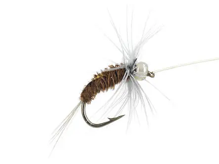 Rienz Premium BI Cinamon