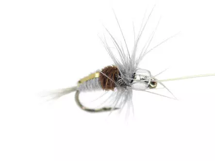 Rienz Premium BI Dun