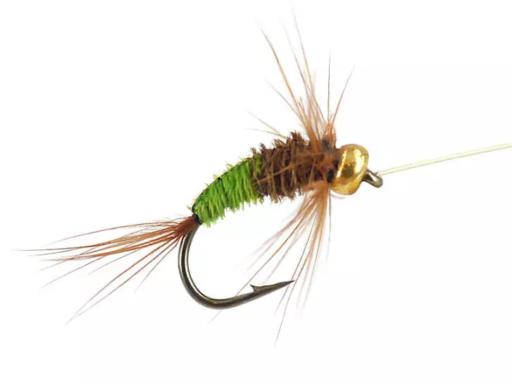 Rienz Premium BI Green