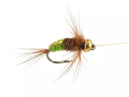 Rienz Premium BI Green