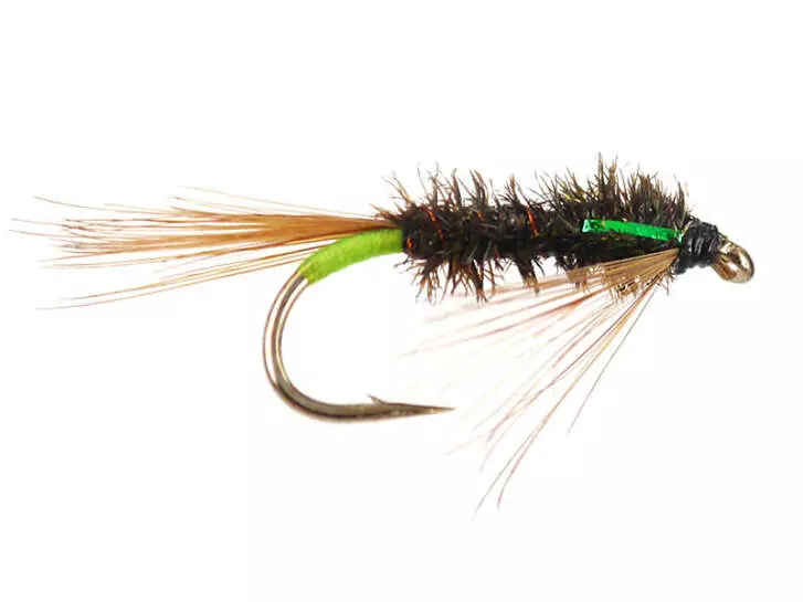 Diawl Bach Green