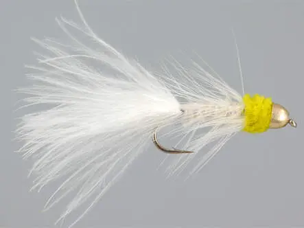 White Yellow WB Conehead